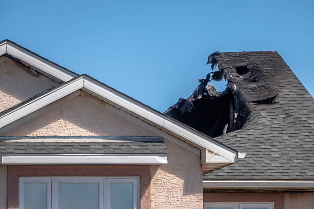 Top rated local Fire Damage Removal specialists in Dover, NJ